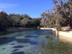 Salt Springs Recreation Area in the Ocala National Forest @ Salt Springs, Florida @ GarzaFX.com