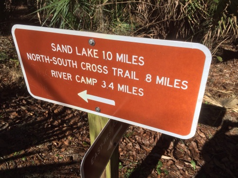 North-South Cross Trail in Wekiva Springs State Park @ GarzaFX 20140116-174005.jpg
